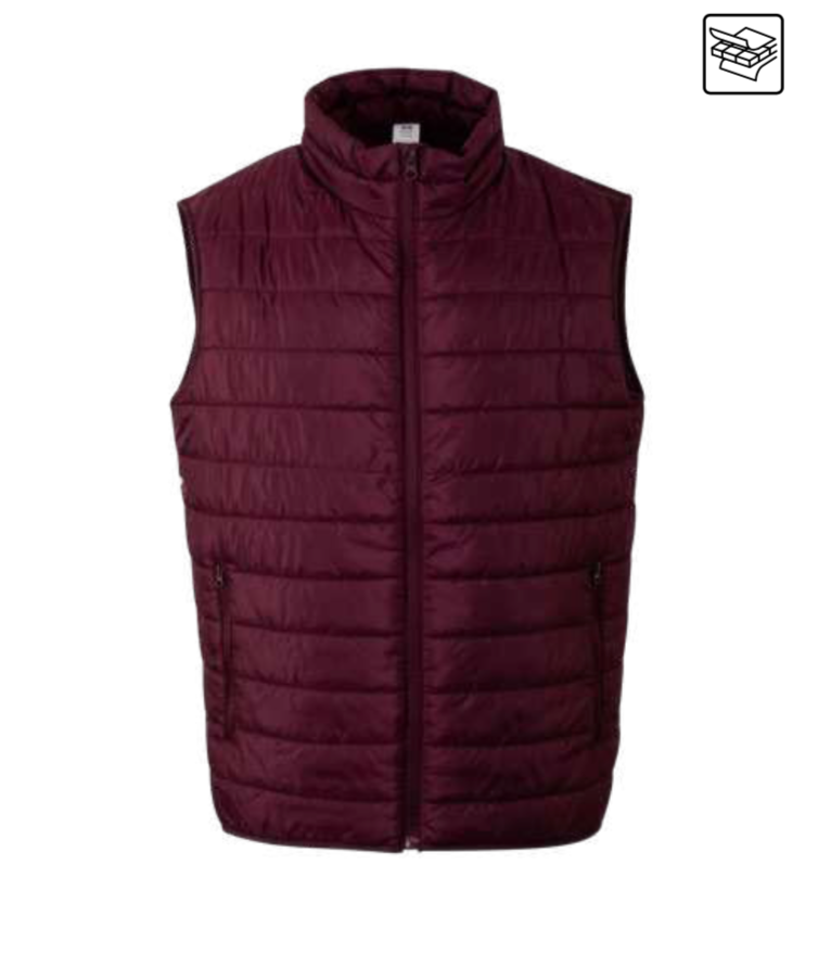 Padded light vest